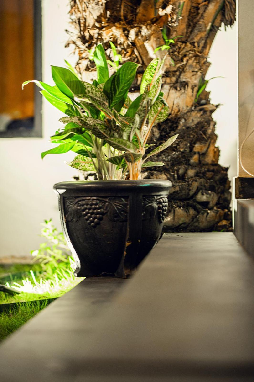 Ahome Guest House & Lounge Lome Ngoại thất bức ảnh